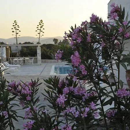 Vila Ambassador Luxury